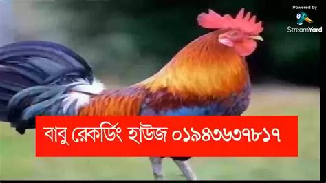 hot gosol|দুপুর বেলl ভাবীর হট গোসল মাথা খারাপ করা গোসল hot gosol video .